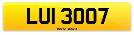LUI 3007