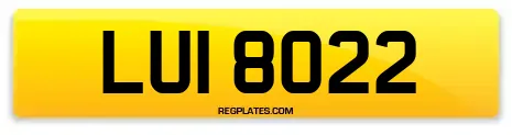 LUI 8022