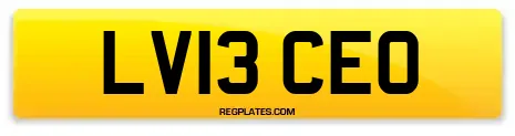 LV13 CEO