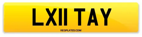 LX11 TAY