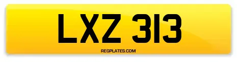 LXZ 313