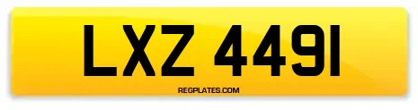 LXZ 4491