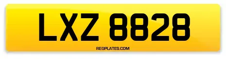 LXZ 8828