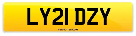 LY21 DZY