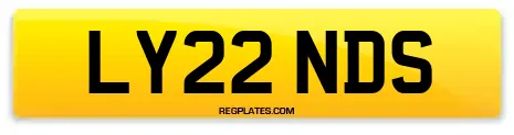 LY22 NDS