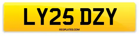 LY25 DZY