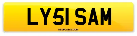 LY51 SAM