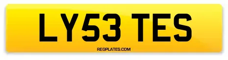 LY53 TES