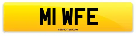 M1 WFE