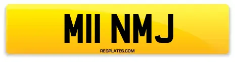 M11 NMJ