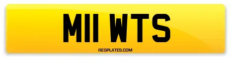 M11 WTS