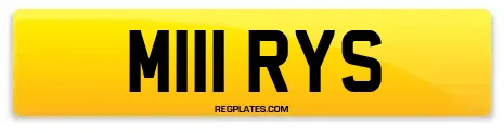 M111 RYS