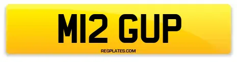 M12 GUP