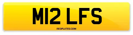 M12 LFS