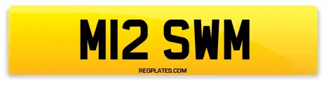 M12 SWM