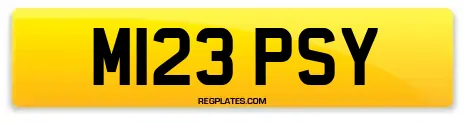 M123 PSY
