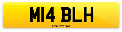 M14 BLH