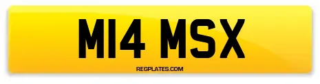 M14 MSX