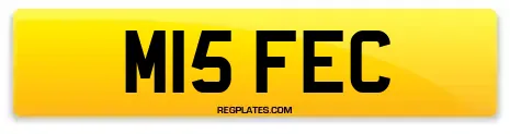 M15 FEC