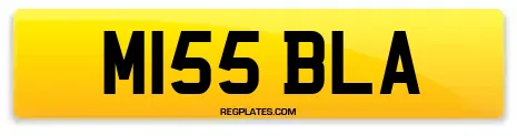 M155 BLA