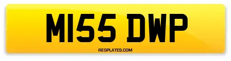 M155 DWP