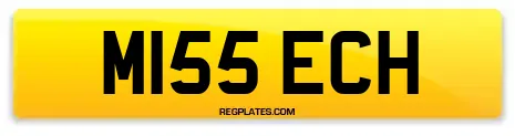 M155 ECH
