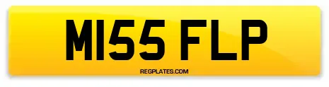 M155 FLP
