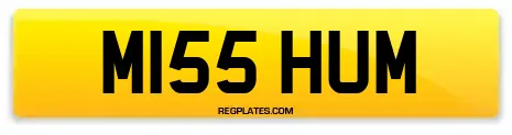 M155 HUM