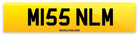 M155 NLM