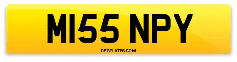 M155 NPY