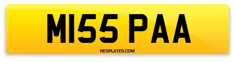 M155 PAA