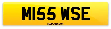 M155 WSE