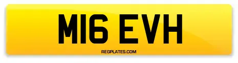 M16 EVH