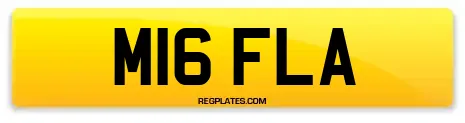 M16 FLA