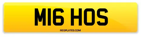 M16 HOS