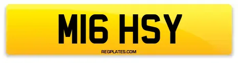 M16 HSY