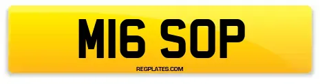 M16 SOP