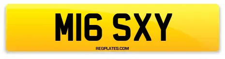 M16 SXY