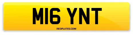 M16 YNT