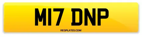 M17 DNP