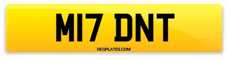 M17 DNT