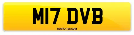 M17 DVB