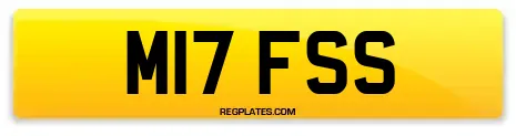 M17 FSS