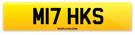 M17 HKS