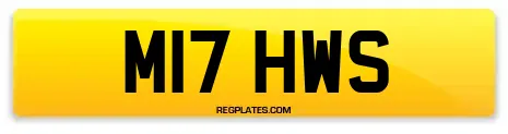 M17 HWS