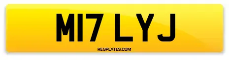 M17 LYJ