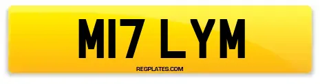 M17 LYM