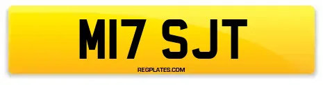 M17 SJT