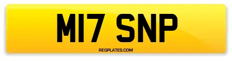 M17 SNP