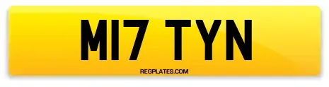 M17 TYN
